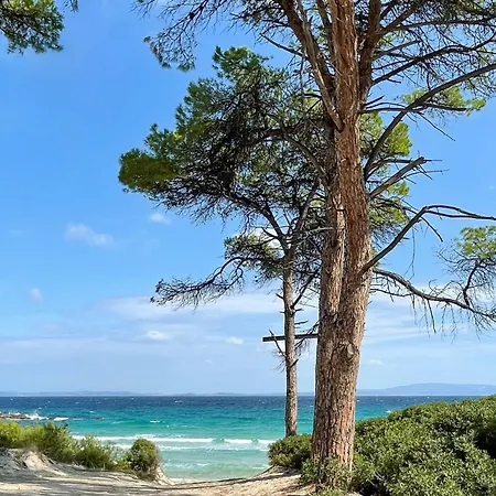 Karidi ブアブロウ