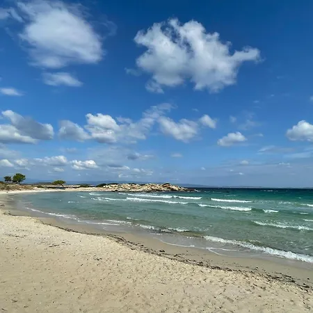 Karidi וורוורו