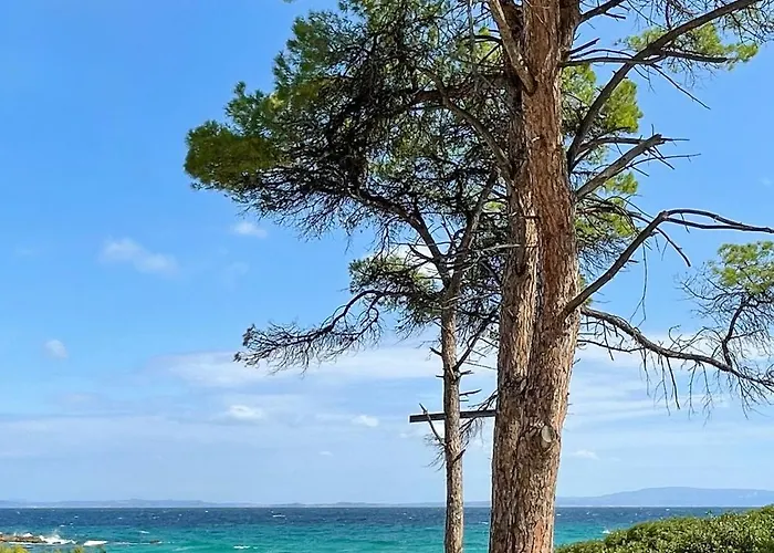 Karidi Βουρβουρού